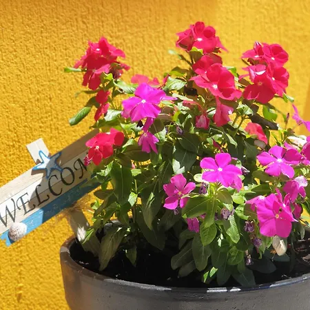 Theyellow House Ii Fully Equipped 2br * Andipáta