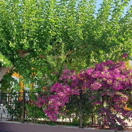 Theyellow House Ii Fully Equipped 2br Andipata